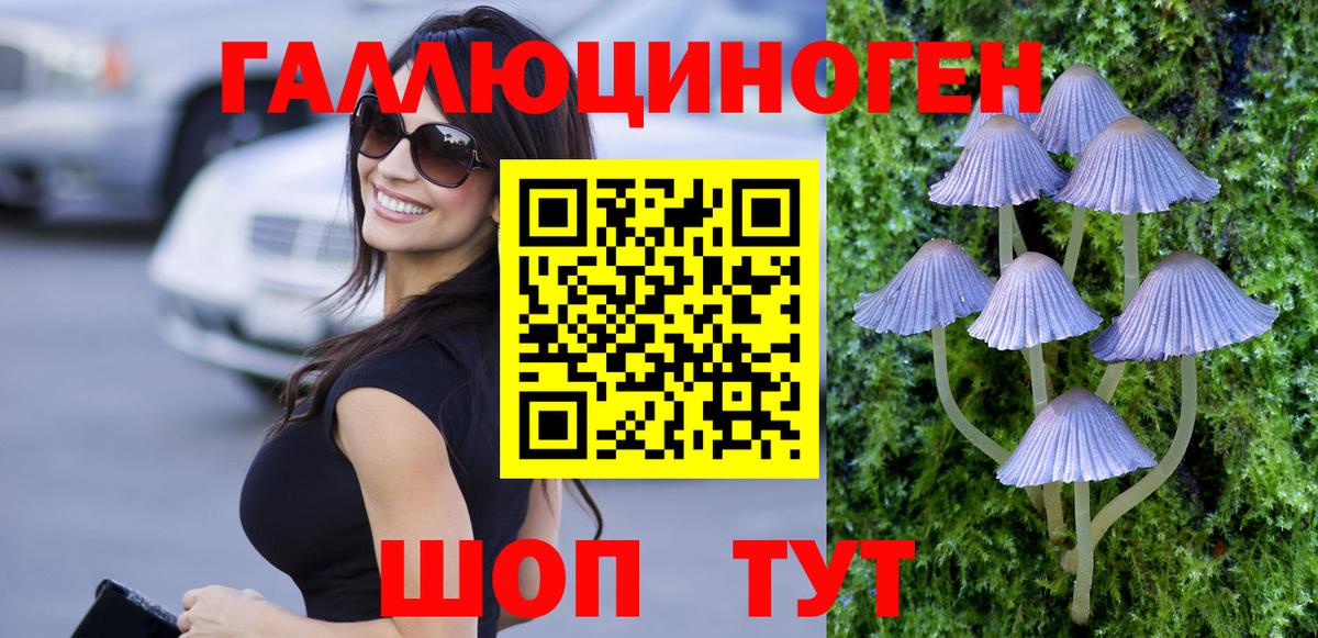 Галлюциногенные грибы мицелий Узловая